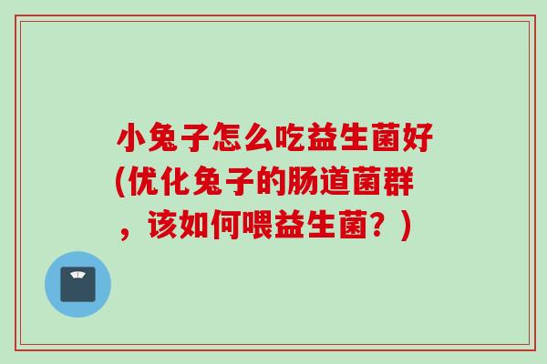 小兔子怎么吃益生菌好(优化兔子的肠道菌群,该如何喂益生菌?) 小兔子怎么吃益生菌好(优化兔子的肠道菌群,该如何喂益生菌?)