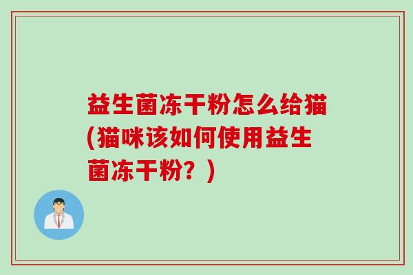 益生菌冻干粉怎么给猫(猫咪该如何使用益生菌冻干粉？)