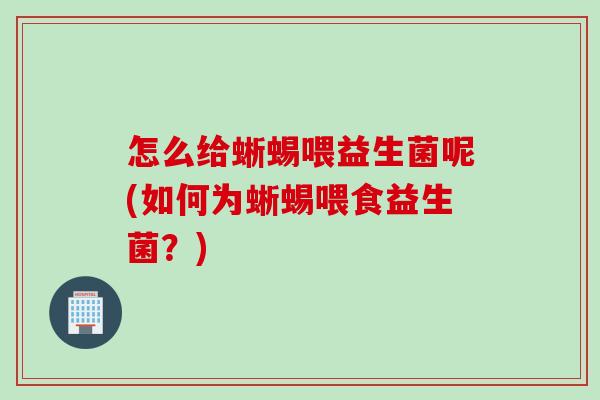 怎么给蜥蜴喂益生菌呢(如何为蜥蜴喂食益生菌?) 怎么给蜥蜴喂益生菌呢(如何为蜥蜴喂食益生菌?)
