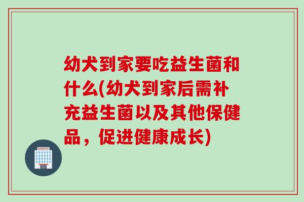 幼犬到家要吃益生菌和什么(幼犬到家后需补充益生菌以及其他保健品，促进健康成长)
