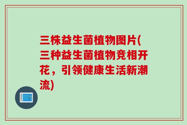 三株益生菌植物图片(三种益生菌植物竞相开花，引领健康生活新潮流)