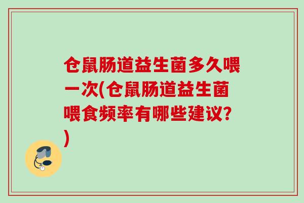 仓鼠肠道益生菌多久喂一次(仓鼠肠道益生菌喂食频率有哪些建议？)