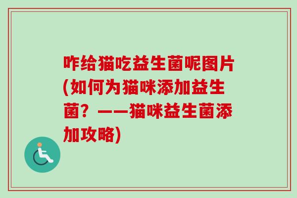 咋给猫吃益生菌呢图片(如何为猫咪添加益生菌？——猫咪益生菌添加攻略)