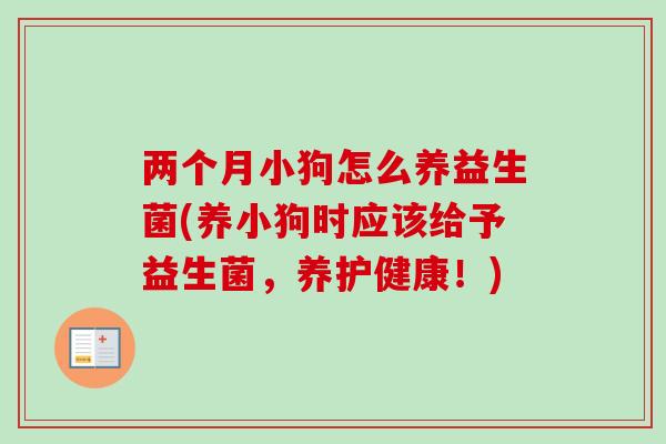 两个月小狗怎么养益生菌(养小狗时应该给予益生菌，养护健康！)
