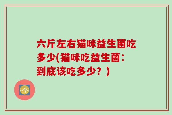 六斤左右猫咪益生菌吃多少(猫咪吃益生菌：到底该吃多少？)