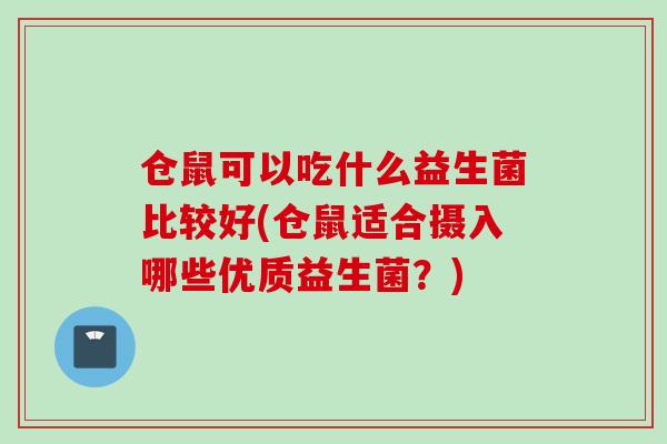 仓鼠可以吃什么益生菌比较好(仓鼠适合摄入哪些优质益生菌？)