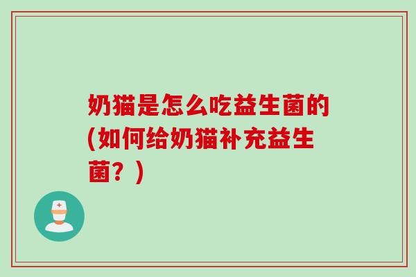 奶猫是怎么吃益生菌的(如何给奶猫补充益生菌？)