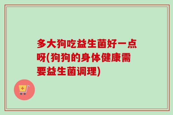 多大狗吃益生菌好一点呀(狗狗的身体健康需要益生菌调理) 多大狗吃益生菌好一点呀(狗狗的身体健康需要益生菌调理)