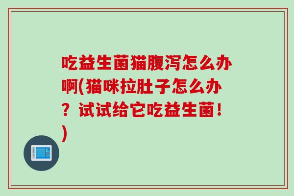 吃益生菌猫怎么办啊(猫咪拉肚子怎么办?试试给它吃益生菌!) 吃益生菌猫怎么办啊(猫咪拉肚子怎么办?试试给它吃益生菌!)