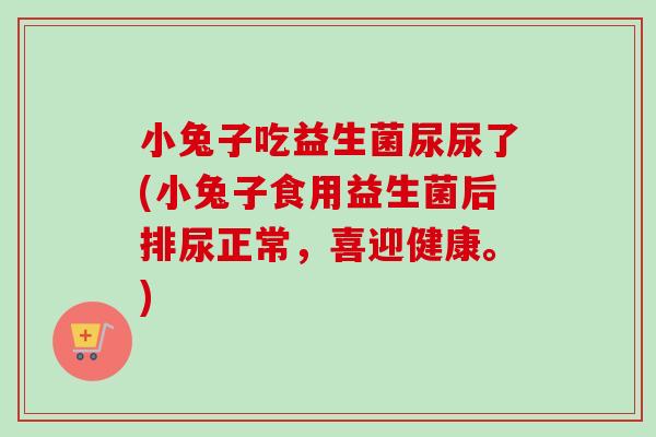 小兔子吃益生菌尿尿了(小兔子食用益生菌后排尿正常，喜迎健康。)
