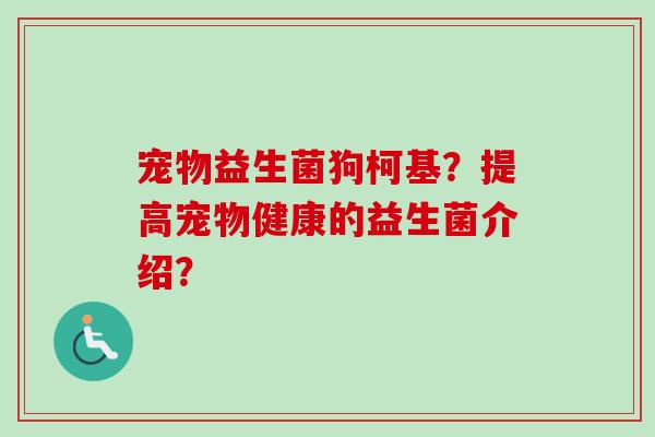 宠物益生菌狗柯基？提高宠物健康的益生菌介绍？