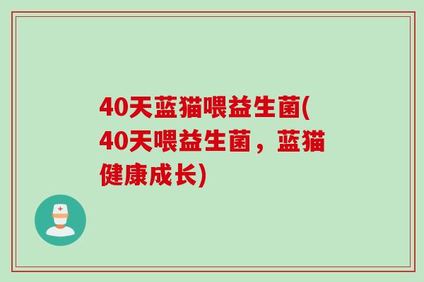 40天蓝猫喂益生菌(40天喂益生菌，蓝猫健康成长)