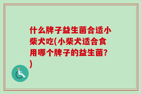 什么牌子益生菌合适小柴犬吃(小柴犬适合食用哪个牌子的益生菌?) 什么牌子益生菌合适小柴犬吃(小柴犬适合食用哪个牌子的益生菌?)