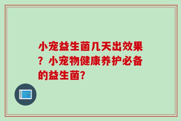 小宠益生菌几天出效果？小宠物健康养护必备的益生菌？