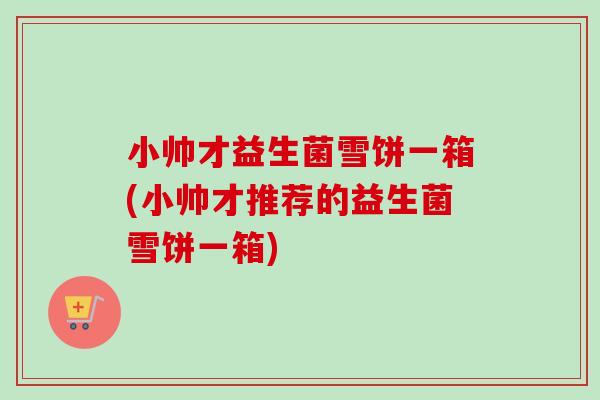 小帅才益生菌雪饼一箱(小帅才推荐的益生菌雪饼一箱)