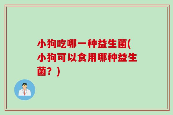 小狗吃哪一种益生菌(小狗可以食用哪种益生菌？)