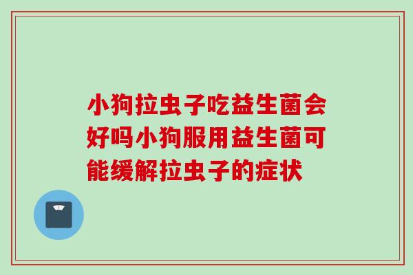 小狗拉虫子吃益生菌会好吗小狗服用益生菌可能缓解拉虫子的症状