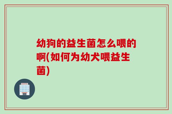 幼狗的益生菌怎么喂的啊(如何为幼犬喂益生菌)