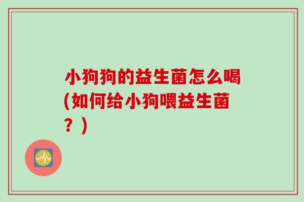 小狗狗的益生菌怎么喝(如何给小狗喂益生菌?) 小狗狗的益生菌怎么喝(如何给小狗喂益生菌?)