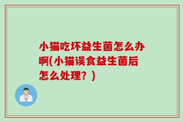 小猫吃坏益生菌怎么办啊(小猫误食益生菌后怎么处理？)