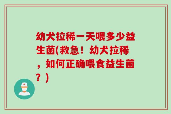 幼犬拉稀一天喂多少益生菌(救急!幼犬拉稀,如何正确喂食益生菌?) 幼犬拉稀一天喂多少益生菌(救急!幼犬拉稀,如何正确喂食益生菌?)