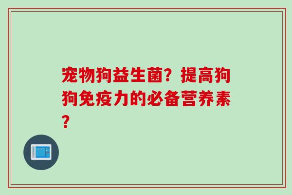 宠物狗益生菌？提高狗狗力的必备营养素？