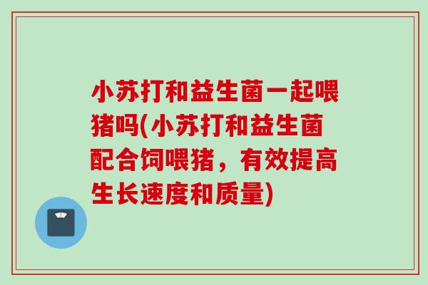 小苏打和益生菌一起喂猪吗(小苏打和益生菌配合饲喂猪，有效提高生长速度和质量)