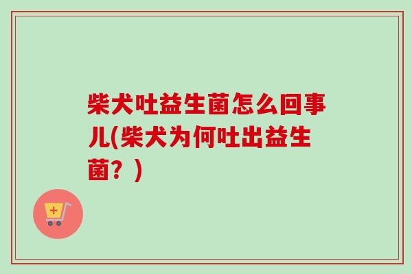 柴犬吐益生菌怎么回事儿(柴犬为何吐出益生菌?) 柴犬吐益生菌怎么回事儿(柴犬为何吐出益生菌?)