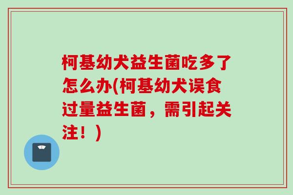 柯基幼犬益生菌吃多了怎么办(柯基幼犬误食过量益生菌，需引起关注！)