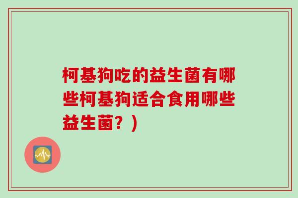柯基狗吃的益生菌有哪些柯基狗适合食用哪些益生菌?) 柯基狗吃的益生菌有哪些柯基狗适合食用哪些益生菌?)