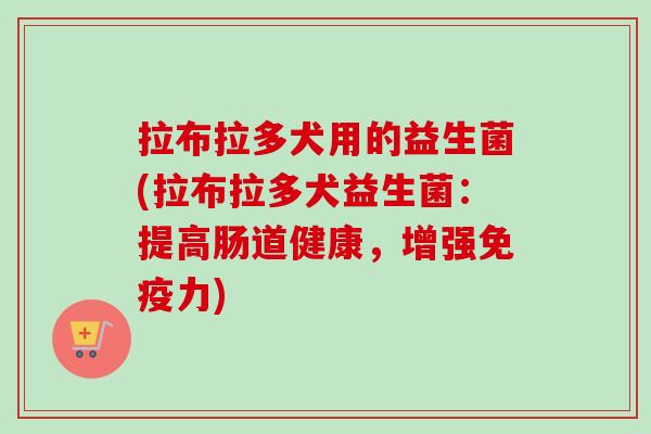 拉布拉多犬用的益生菌(拉布拉多犬益生菌:提高肠道健康,增强力) 拉布拉多犬用的益生菌(拉布拉多犬益生菌:提高肠道健康,增强力)
