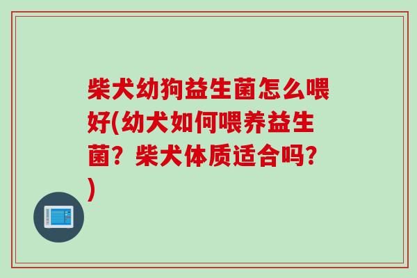 柴犬幼狗益生菌怎么喂好(幼犬如何喂养益生菌？柴犬体质适合吗？)