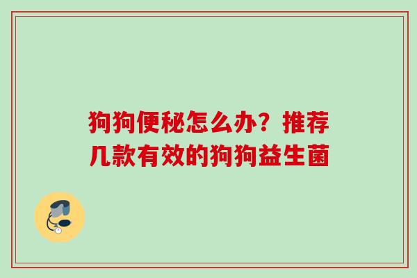 狗狗怎么办?推荐几款有效的狗狗益生菌 狗狗怎么办?推荐几款有效的狗狗益生菌