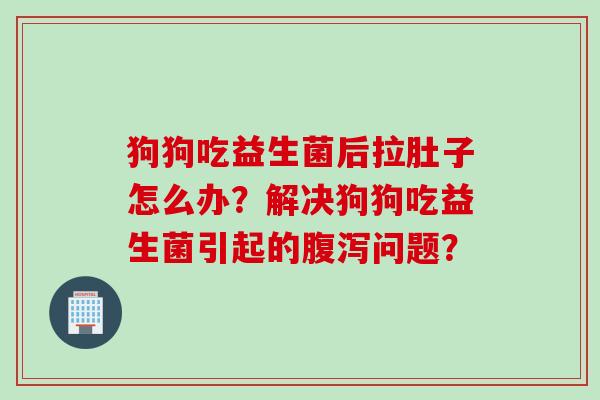 狗狗吃益生菌后拉肚子怎么办?解决狗狗吃益生菌引起的问题? 狗狗吃益生菌后拉肚子怎么办?解决狗狗吃益生菌引起的问题?