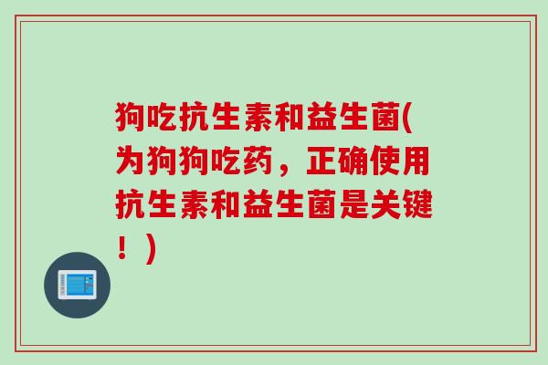 狗吃抗生素和益生菌(为狗狗吃药，正确使用抗生素和益生菌是关键！)