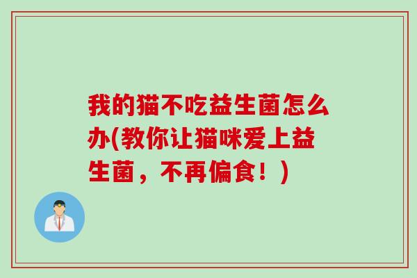 我的猫不吃益生菌怎么办(教你让猫咪爱上益生菌,不再偏食!) 我的猫不吃益生菌怎么办(教你让猫咪爱上益生菌,不再偏食!)