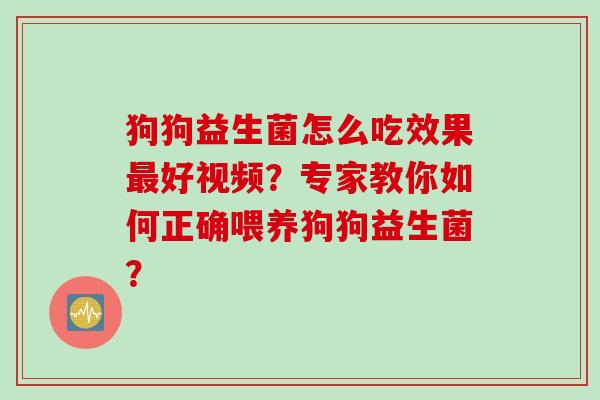 狗狗益生菌怎么吃效果好视频？专家教你如何正确喂养狗狗益生菌？