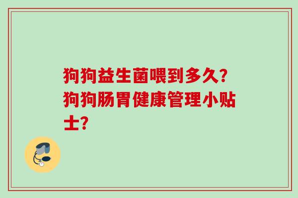 狗狗益生菌喂到多久？狗狗肠胃健康管理小贴士？