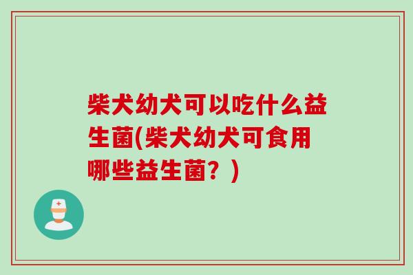 柴犬幼犬可以吃什么益生菌(柴犬幼犬可食用哪些益生菌？)