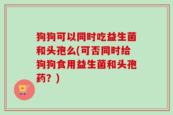 狗狗可以同时吃益生菌和头孢么(可否同时给狗狗食用益生菌和头孢药?) 狗狗可以同时吃益生菌和头孢么(可否同时给狗狗食用益生菌和头孢药?)
