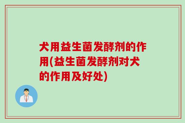 犬用益生菌发酵剂的作用(益生菌发酵剂对犬的作用及好处) 犬用益生菌发酵剂的作用(益生菌发酵剂对犬的作用及好处)