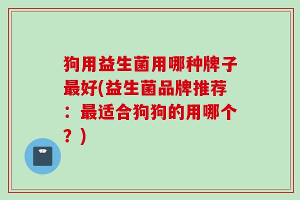 狗用益生菌用哪种牌子好(益生菌品牌推荐：适合狗狗的用哪个？)