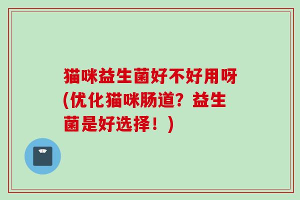 猫咪益生菌好不好用呀(优化猫咪肠道？益生菌是好选择！)