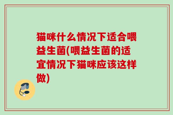 猫咪什么情况下适合喂益生菌(喂益生菌的适宜情况下猫咪应该这样做) 猫咪什么情况下适合喂益生菌(喂益生菌的适宜情况下猫咪应该这样做)