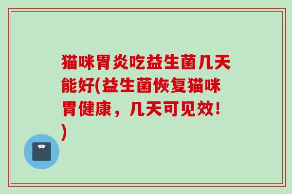 猫咪胃炎吃益生菌几天能好(益生菌恢复猫咪胃健康，几天可见效！)