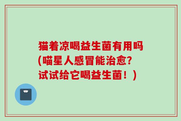 猫着凉喝益生菌有用吗(喵星人感冒能治愈？试试给它喝益生菌！)