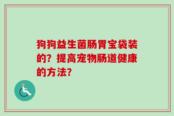 狗狗益生菌肠胃宝袋装的？提高宠物肠道健康的方法？