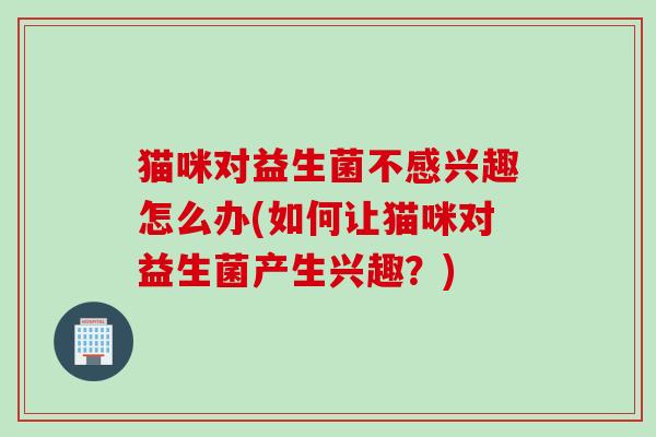 猫咪对益生菌不感兴趣怎么办(如何让猫咪对益生菌产生兴趣？)