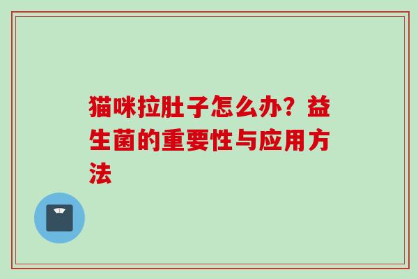 猫咪拉肚子怎么办？益生菌的重要性与应用方法