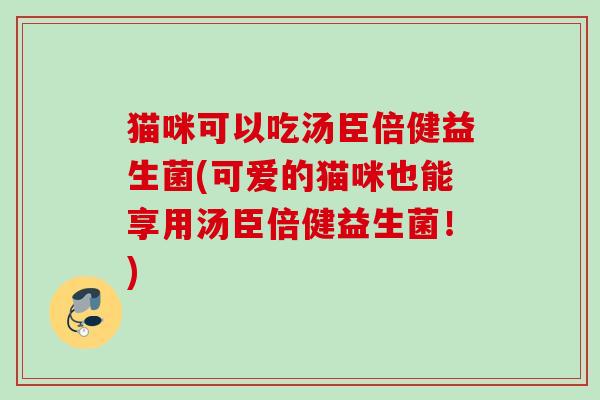 猫咪可以吃汤臣倍健益生菌(可爱的猫咪也能享用汤臣倍健益生菌!) 猫咪可以吃汤臣倍健益生菌(可爱的猫咪也能享用汤臣倍健益生菌!)